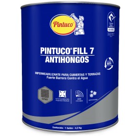 Pintuco Fill 7